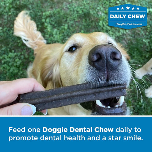 Best Bully Sticks All-Natural Doggie Dental Chews - Star Shaped Beefy Dental Chews, 20 Pack - Promotes Dental Hygiene