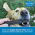 Best Bully Sticks All-Natural Doggie Dental Chews - Star Shaped Beefy Dental Chews, 20 Pack - Promotes Dental Hygiene
