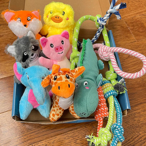Jalousie Multipack Dog Squeaky Toys Dog Toy Bulk Dog Toy - Dog Toys for Pets Dogs for Small Medium Large Dogs (12 Pack Rope and Plush Animals)