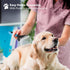BOSHEL Dematting Comb for Dogs - Undercoat Rake Brush for Pets, Dematting Tool for Cats and Dogs