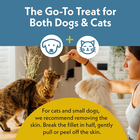 Fresh Is Best Salmon Fillets Freeze Dried Dog Treats Raw Freeze Dried Fish for Cats & Canines in Resealable Zipper Bag