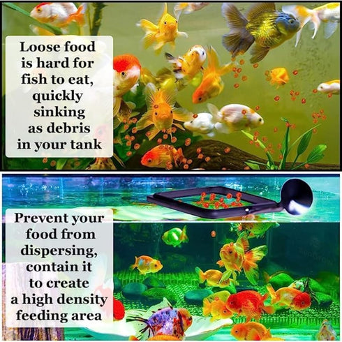 SunGrow 2 Betta Feeding Ring, Prevents Water Turbulence, Practical Round Floating Food for Guppy, Goldfish, Small Fish