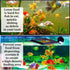SunGrow 2 Betta Feeding Ring, Prevents Water Turbulence, Practical Round Floating Food for Guppy, Goldfish, Small Fish