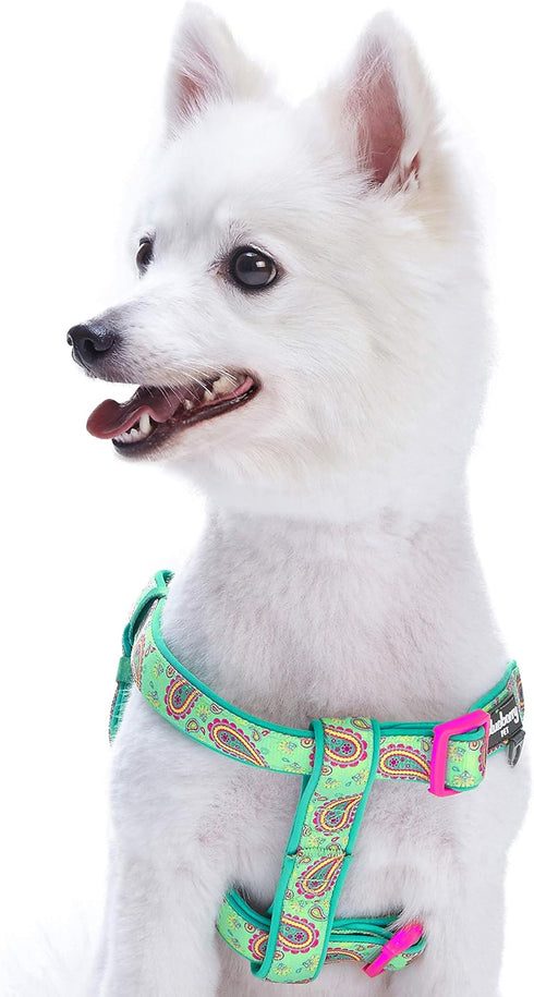 Blueberry Pet 5 Colors Soft & Comfy Step-in Paisley Flower Print Dog Harness - Chest Girth 20" - 26", Emerald Green,