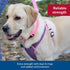 Coastal Pet Comfort Soft Sport Wrap Adjustable Dog Harness - Durable Grey with Blue Harness for Large & Small Dogs,