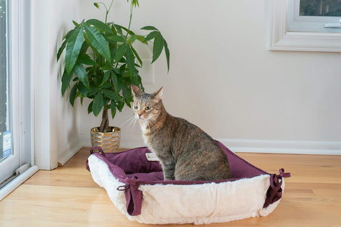 Armarkat 2-in-1 Cat Pet Bed & Fleece Cat Mat, Burgundy/Ivory, 16" L x 16" W x 6" H (C06HJH/MB)