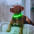 LED Dog Collar - Light Up USB Rechargeable Dog Collar for Night Walking, Adjustable Medium Neon Green