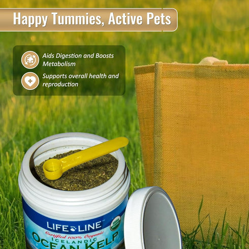 Life Line Pet Nutrition Organic Ocean Kelp Supplement - 16oz for Skin & Coat, Digestion