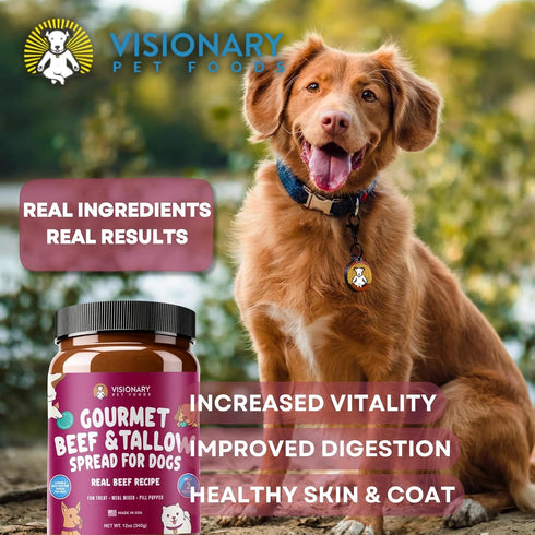 12oz Visionary Pet Foods Beef Meat Spread - Healthy Dog Treat - Alternative to Dog Peanut Butter, Xylitol Free, No