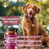 12oz Visionary Pet Foods Beef Meat Spread - Healthy Dog Treat - Alternative to Dog Peanut Butter, Xylitol Free, No