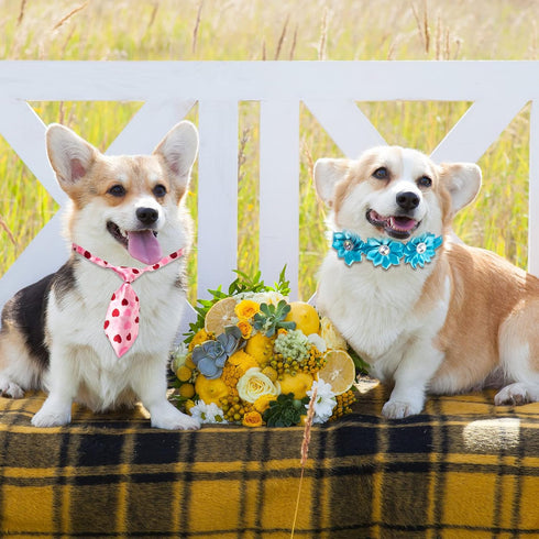 100 Pcs Adjustable Dog Ties Set with 50 Bow Ties, 25 Neckties, 25 Flower Ties for Medium Large Dog Grooming