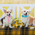 100 Pcs Adjustable Dog Ties Set with 50 Bow Ties, 25 Neckties, 25 Flower Ties for Medium Large Dog Grooming