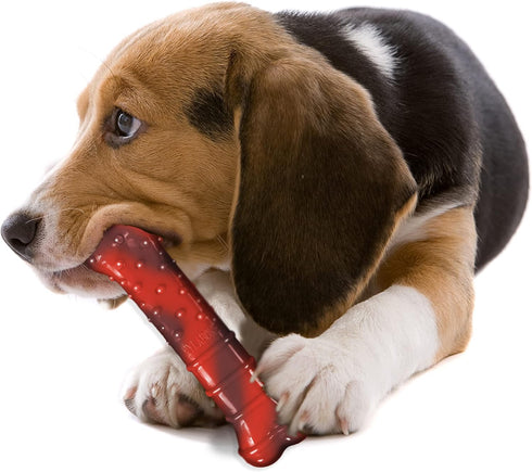 NylaDental Bone Power Chew, Beef Jerky Flavor, Indestructible Chew Toy for Medium Dogs