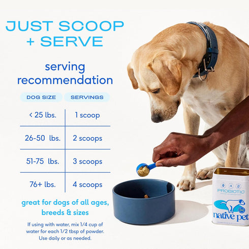 6B 60 Native Pet Probiotics for Dogs Dog Probiotic Powder for Gut & Digestive Health, Vet-Formulated CFUs Dog-Specific