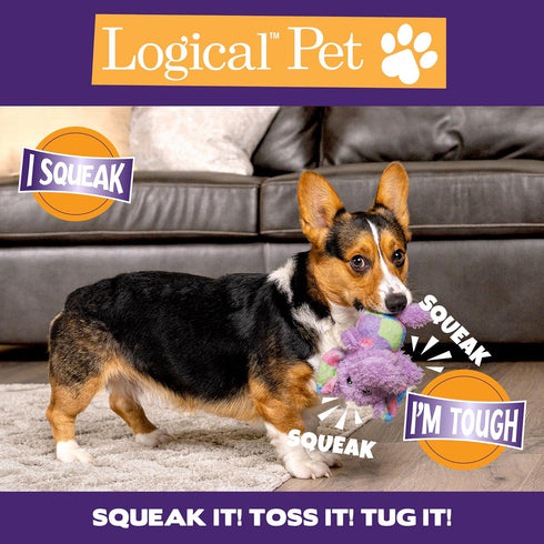 Pet Factory Logical Pet Patchwork Squeaky Plush Dog Toy, Randomly Selected - Bear or Elephant