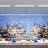 Quickun Aquarium Air Stone Bubble Wall Tube - Oxygen Diffuser Bar Decor Accessory for Fish Tank (10 Inch Length, 5PCS)