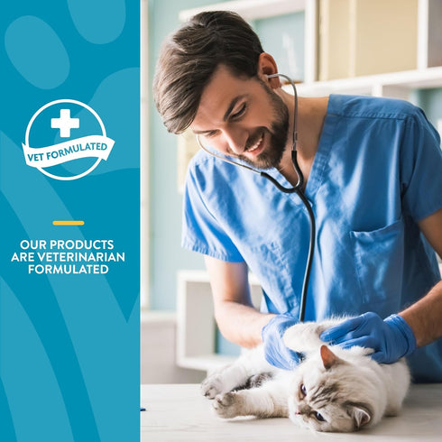 NaturVet Quiet Moments Calming Aid Cat Supplement Plus Melatonin - Reduces Stress in Cats, 50 Ct. Soft Chews