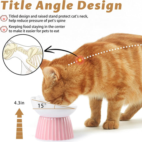 Ceramic Raised Cat Bowl, Tilted Anti Vomit Feeder for Indoor Cats, Microwave & Dishwasher Safe