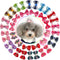 YOY 40pcs Grosgrain Ribbon Pet Dog Hair Bows - 20 Pairs with Rubber Bands - Grooming Accessories for Puppy & Kitty