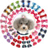 YOY 40pcs Grosgrain Ribbon Pet Dog Hair Bows - 20 Pairs with Rubber Bands - Grooming Accessories for Puppy & Kitty