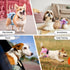 Pack 3, Reusable Dog Diapers Female Large Washable, Premium Doggie Diaper for Dogs, of Highly Absorbent Dog Diaper