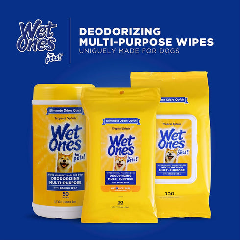 Wet Ones for Pets Desmellizing Dog Wipes, Baking Soda, Tropical Splash Scent, 100 Ct Pouch
