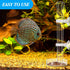 3 Pieces Shrimp Feeding Tube and Dish Set, Glass Shrimp Feeder Tube and 2 Aquarium Shrimp Feeding Dish Bowl
