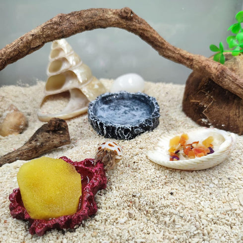 13 Pack Hermit Crab Shells with 2 Pack Food and Water Bowl, Growth Turbo Seashell Supplies Accessory