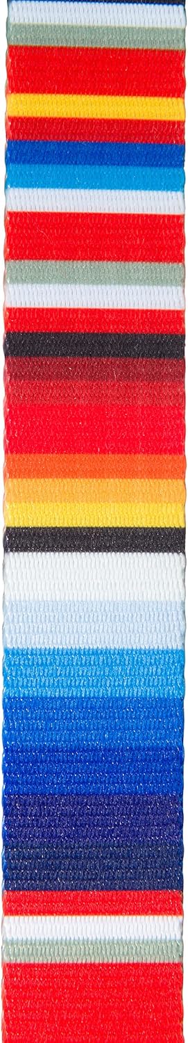 Hooey Nomad Dog Collar, Durable Polyester Webbing with Graphic-Inspired Prints, Serape Tijana, Medium