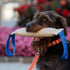 Herm Sprenger Jute Dog Tug Toy - Training Tool with 2 Handles for Interactive Play, Tough Tug of War (Medium)