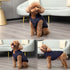 2 Layers Fleece Lined Warm Dog Jacket for Puppy Winter Cold Weather, Soft Windproof Small Dog Coat, Blue M
