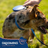 Good Scout Pin Deshedding Tool, Gentle Brush for Cat & Dog Shedding