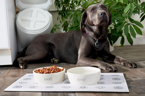 Pearhead Woof Pet Bowl, 24 oz Ceramic Dog Water and Food Dish, Microwave and Dishwasher Safe, Holds 3 Cups