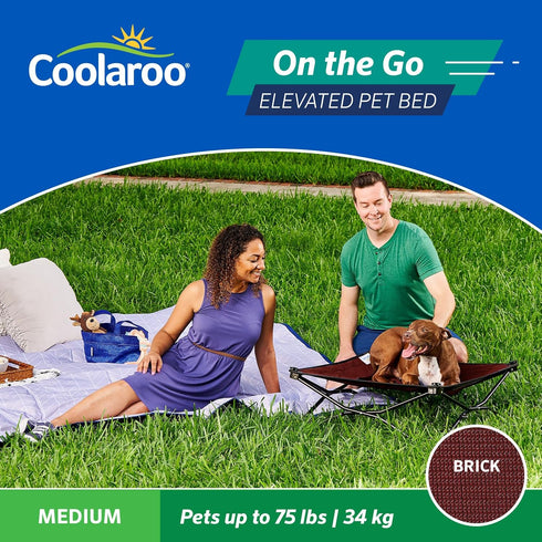 Coolaroo On The Go Cooling Elevated Dog Bed, Portable for Travel, Medium, Brick