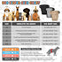 Adjustable Reusable Diapers for Female Dogs - Grey XL
