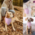 Happy Birthday Mommy Dog Bandana Scarf - Triangle Accessory Gifts for Dog Mom Lovers Birthday Party