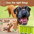 240 Counts 100% Pet N Pet Poop Bags For Dogs, Plant Based Dog Poop Bags Rolls, Thick Doggie Poo Bag, Leak-proof, Easy