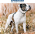 Herm Sprenger Stainless Steel Dog Collar with Swivel D-Ring, 3 Extra Links, for Small Medium Large Dogs