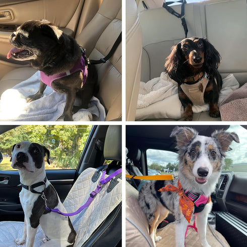 BWOGUE 2 Packs Dog Cat Safety Seat Belt Strap, Adjustable Nylon Fabric Restraints for Vehicle Seatbelts