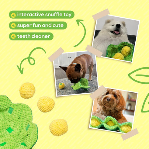 Pea Pod Interactive Dog Toy | Snuffle Nosework Stress Relief | Hide Treat Puzzle for Small Medium Dogs