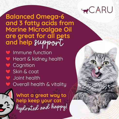 Caru Turkey Stew for Cats, Natural Cat Food with Added Vitamins, Non-GMO, Complete & Balanced, 6 oz, Case of 12