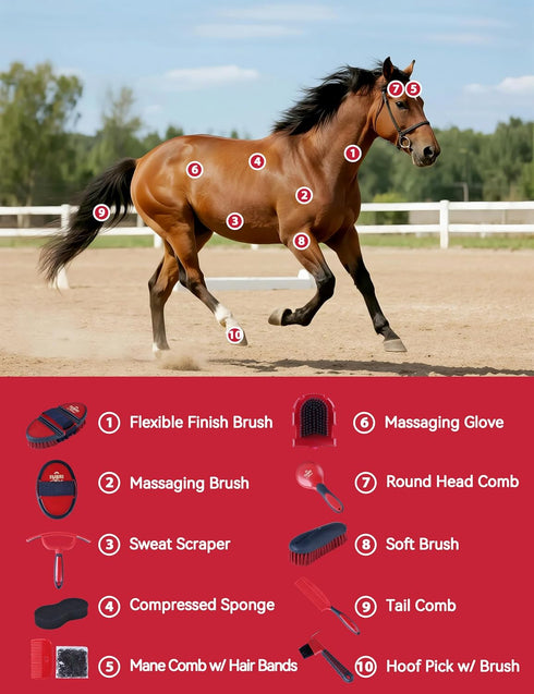 Furrishine 11-Piece Set, Professional Horse Grooming Kit with Waterproof Tote Bag, Non-Slip Silicone Grip Brush Curry