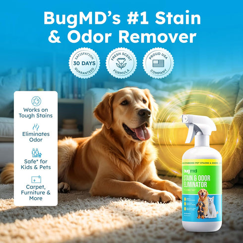 BugMD Enzyme Cleaner for Dog & Cat Urine | Pet Stain and Odor Remover for Carpet & Home | Unscented Urine Destroyer