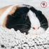 19.515.5 Inch Mygeromon Guinea Pig Cage Liner Washable Rabbit Bedding Mats Small Animal Pad for Winter Keep Warm