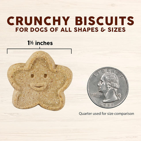 Cloud Star Wag More Bark Less - Grain Free Pumpkin Dog Treats - Crunchy Biscuits - 2.5 lb Pouch