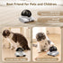 AEZ 1080P 2-Way Robot Camera on Wheels Dual Lens,Indoor Movable Security Camera with Talk,Blinky Bot with Night
