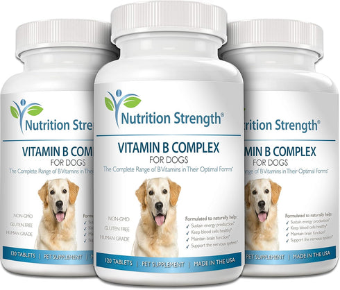 Vitamin B for Dogs, Complete B Complex for Blood Cell & Nervous System Health, 120 Chewable Tablets