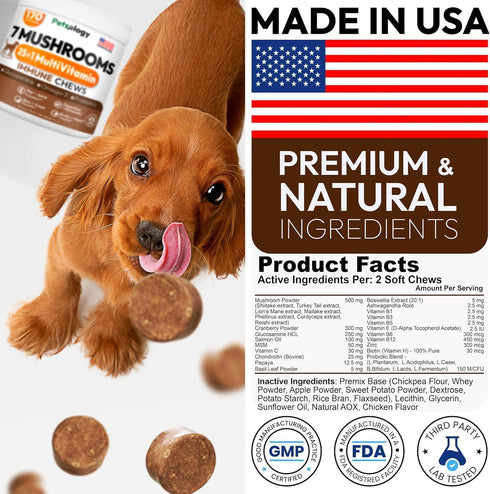 170 Immune Turkey Tail Mushroom for Dogs - Chews - Lions Mane - Shiitake - Reishi - Buddy Support Guard - Mushroom