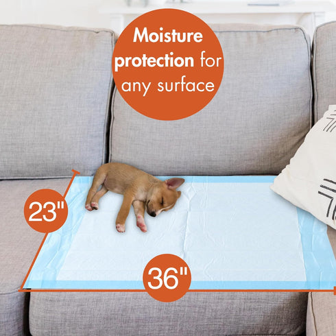 23 36 50 Count Pack Caring Disposable Underpads x in, Moderate Absorbency Bed Pads, Chucks Pads, Puppy Pads, Baby