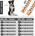 Rose Gold Chain Dog Collar, 19mm 18K Gold Cuban Link with Secure Snap Buckle for Large Pitbull (26")